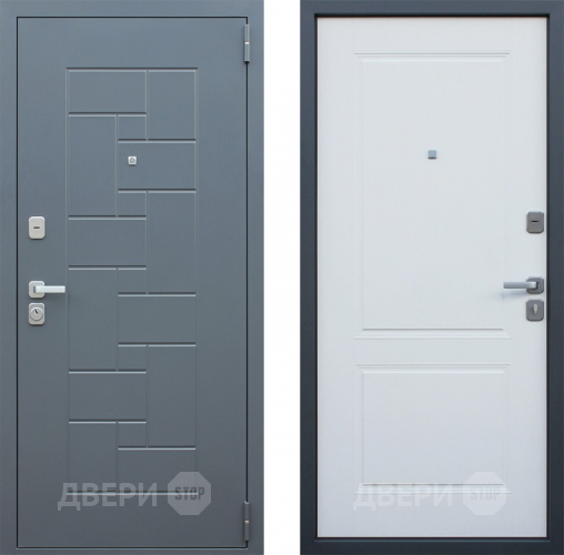 Дверь АСД Арсенал в Химках